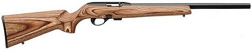 Remington 597 .22 LR